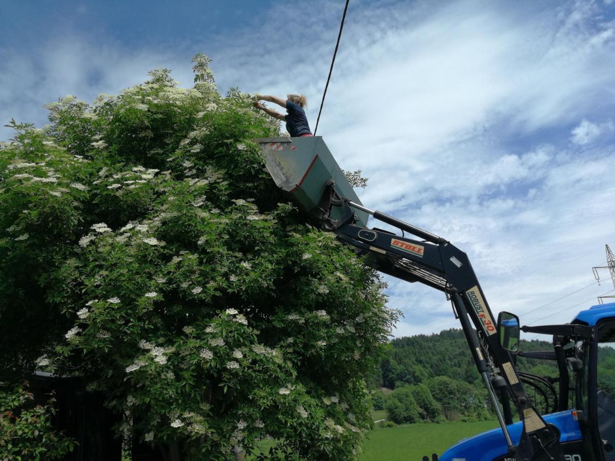 Ferienwohnungen Oranhof Velden am Wörthersee Εξωτερικό φωτογραφία